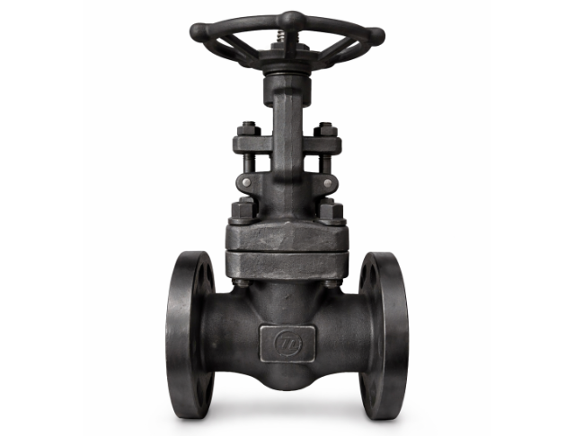 Gate Valves - Forged 1