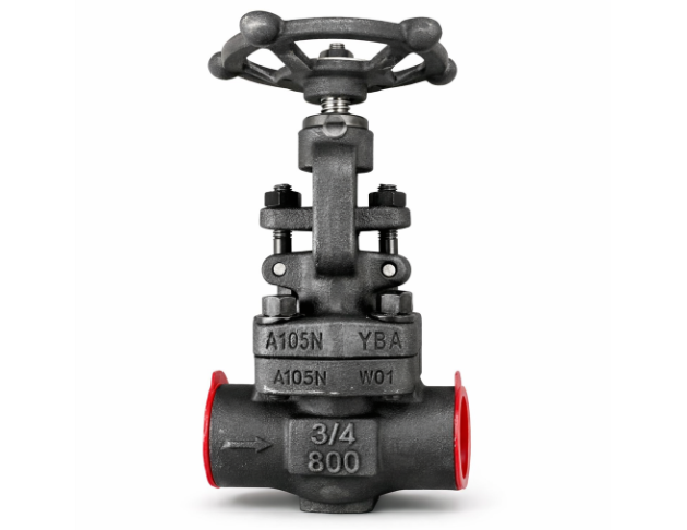 Globe Valve - Forged 1